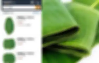 Pengguna Twitter Beberkan Harga Daun Pisang Di Jepang Capai Rp 500 Ribu, Warga +62 Bisa Auto Tajir, Nih!