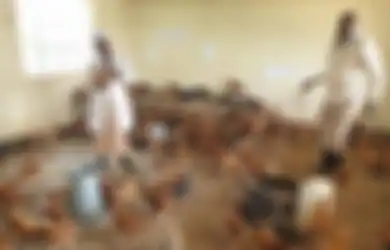 Pemerintah Tutup Belajar Tatap Muka Gegara Covid-19, Kini Sekolah Ini Jadi Kandang Ayam, Begini Kisahnya