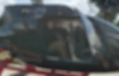 Kemewahan Berujung Petaka, Ketua KPK Firli Bahuri Harus Jalani Sidang Pelanggaran Kode Etik Usai Kepergok Naik Helikopter, ICW: Pelanggaran Berat, Dia Harus Mengundurkan Diri