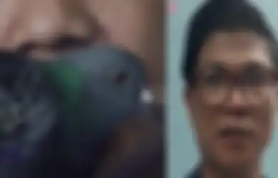 Andika Babang Tampan Siap Pinang Merpati Garong Seharga Rp 3 Miliar, Sang Pemilik Sebut Jagoannya Bisa Menghasilkan 8 Mobil Untuknya, Ternyata Ini Keunikannya