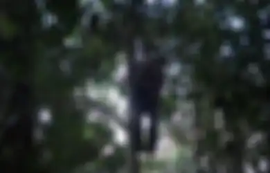 Bolak-balik Dicari Warganya untuk Dimintai Tanda Tangan, Pak Kades Ditemukan Tewas Tergantung di Pohon Belakang Kantornya Tanpa Tali, Ini Kata Polisi