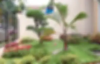 Musim Hujan adalah Saat yang Tepat Membuat Taman, Ini Langkahnya