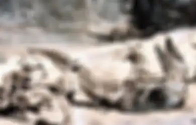 40 Orang Jadi Korban Keganasannya, Berikut Kisah Predator 'Bujang Senang' yang Miliki Besar dan Panjang Seukuran Bus, Hanya Bisa Tahkluk dengan 'Paku' Dukun Ini