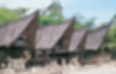 Miliki Banyak Keunikan dan Juga Perbedaan Sistem Ruang, Ini Dia Arsitektur Khas Batak Toba