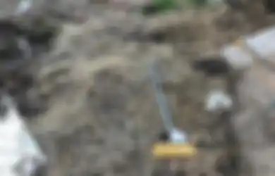 Awalnya Penuh Tumpukan Sampah dan Ratusan Kucing Liar, Rumah Kumuh Ini Bak Harta Karun Bernilai Miliaran Setelah Direnovasi!
