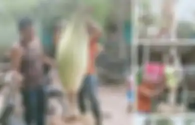 Jangan Sembarangan! Viral Video Warga Nekat Pindahkan Bunga Bangkai ke dalam Pot, Hukuman Pidana Ini Bakal Bikin Sang Pemilik Ciut Nyali