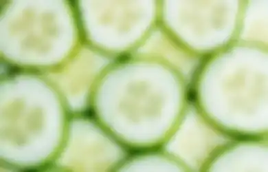 9 Manfaat Luar Biasa Mentimun Buat Kecantikan Kulit. Enggak Nyangka!