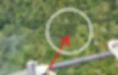 Mendarat Miring di Tanah Lembek, Helikopter yang Hilang Kontak Akhirnya Ditemukan di Tengah Belantara Hutan Papua, Begini Detik-detik Penemuan dan Kondisi Para Penumpangnya