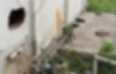 Kabur Tanpa Jejak Sampai Dijuluki 'Manusia Cacing', Napi Asal China Ternyata Sempat Beli Rokok dan Pulang ke Rumah Sebelum Kembali Melarikan Diri, Polisi: Secepatnya Kita Tangkap