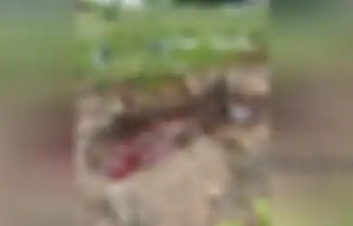 Heboh Kuburan Dipenuhi Cairan Merah Seperti Darah, Imam Masjid: Sepanjang Hayatnya, Almarhum...