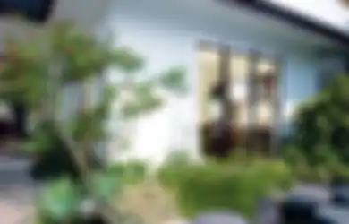 Membiarkan Batang Pohon Mati di Pekarangan Bisa Pancarkan Aura Negatif?