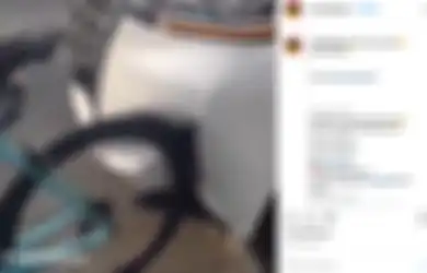 Viral Video Mobil Alphard Penyok Cuma Gegara Nabrak Sepeda, Ternyata Ini Faktanya