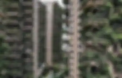 Tak Dirawat, Kompleks Hunian Berkonsep Hutan Vertikal di China Jadi Sarang Nyamuk