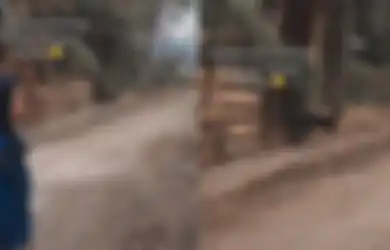 Suaranya Terus-terusan Ditimpali, Mahasiswi Palu Ini Teriak dan Marah-marah ke Seekor Kambing: Pas Aku Ngomong, Dia Langsung Bersuara