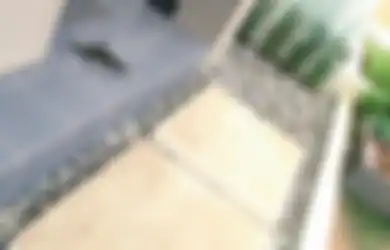 Mau Dandani Teras Mungilmu Agar Tak Jadi Sekedar Entrance? Batu Koral dan Stepping Stone Juga Bisa! 