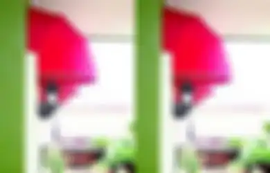 Siap Hadapi Hujan? Lindungi Rumah dari Bocor dengan Atap Tambahan Ini