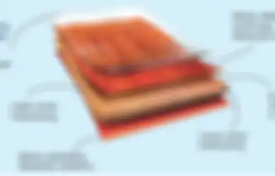 Jarang Diketahui, Ternyata Parket Laminate Tahan Gores dan Tahan Air!