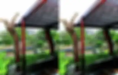 Hiasan Fungsional dan Estetik untuk Taman dengan Manfaatkan Pohon Mati