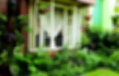 Suhu Nyaman di Rumah Tropis, Bisa Diupayakan dengan Cara Apa Saja?