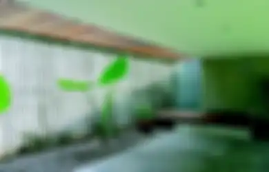Sumber Cahaya Alami untuk Rumah Ternyata Ada Dua Jenis, Ini Bedanya!