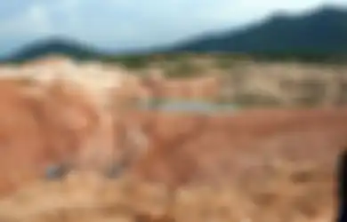 Jadi Bahan Utama Produksi Handphone hingga Mobil Listrik, Inilah 'Rare Earth', Harta Karun Indonesia yang Pernah Disinggung Luhut Tersembunyi di Pedalaman Kalimantan dan Bangka Belitung