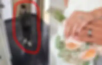 Kehabisan Akal! Pengin Batal Ijab Tapi Tak Ada Hati Putuskan Pacar, Pria Ini Sengaja Maling Speaker, Tujuannya Biar Calon Besan Malu