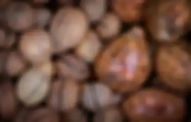 Dipercaya Ampuh Tangkal Pandemi Black Death pada Abad Ke-14, Rempah Asal Indonesia Ini Kini Diburu untuk Obat Alami Covid-19, Harganya Tembus hingga Rp 193 Juta