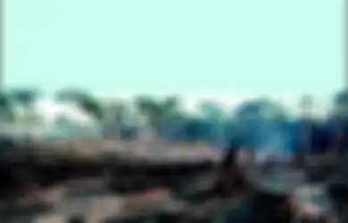Selamatkan Lingkungan, Jangan Lakukan Tindakan Ini di Kawasan Berikut
