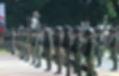 KKB Papua Terbar Ancaman di Intan Jaya, Komisi I DPR Beberkan 2 Penyebabnya, Bakal Tambah Pasukan Organik TNI-Polri untuk Cegah Kebrutalan