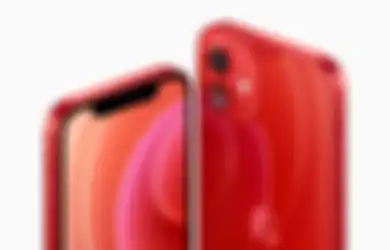 Ini Harga HP Second iPhone 12 256GB September 2022, Desainnya Menarik