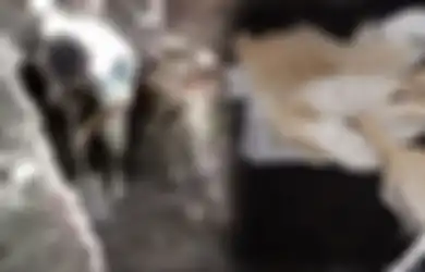 Geger! Tali Pocong Sesepuh Desa Dicuri Orang saat Peringatan 1000 Hari Kematian, Keluarga Lakukan Hal Ini