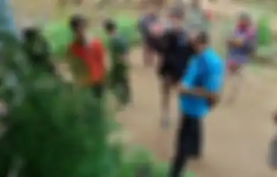 Dibudidayakan dan Tumbuh Subur, Pria Ini Pasrah Saat Rumahnya Digrebek Petugas, Tanam Puluhan Pot Ganja dengan Kedok Penelitian Pupuk Organik