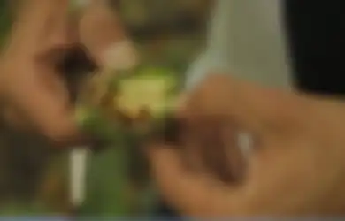 Jadi Bahan Baku Narkoba Paling Berbahaya, Tanaman Ini Ternyata Masih Satu Spesies dengan Kecubung, Lihat Penampakannya