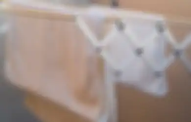 Terlalu Sering Dianggap Sepele, Menjemur Handuk di Kamar Mandi Ternyata Sangat Berbahaya Bagi Kesehatan, Kok Bisa?