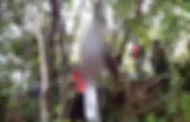 Belum Genap 24 Jam Ucap Ijab Kabul, Wanita Ini Sandang Status Janda Setelah Suami Ditemukan Meninggal dengan Cara Tak Wajar, Sepupu Ungkap Fakta Sebelum Pernikahan!