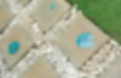 Terungkap, Ide Menyulap Barang Bekas Jadi Penghias Taman yang Cantik, Stepping Stone dari Pecahan Keramik