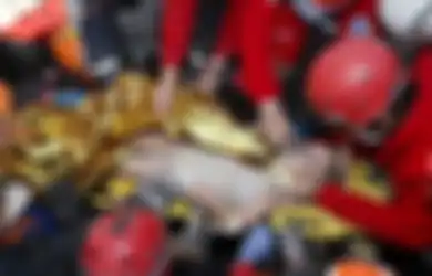 Tangannya Melambai Begitu Lihat Tim Penyelamat, Bocah Ayda yang Terkubur Reruntuhan Selama 91 Jam Berhasil Jadi Penyemangat Warga Izmir, Walikota: Kami Telah Menyaksikan Keajaiban
