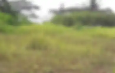 Begini Trik Cerdas Mengurangi Risiko ketika Membeli Lahan Kosong