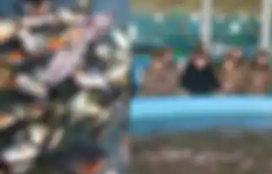 Bukti Kekejaman Kim Jong Un Nyata Adanya, Sang Diktaktor Pernah Kepergok Mutilasi dan Lempar Jenderalnya Sendiri ke Tangki Berisi Ratusan Ikan Piranha, Intel Inggris Bongkar Semuanya