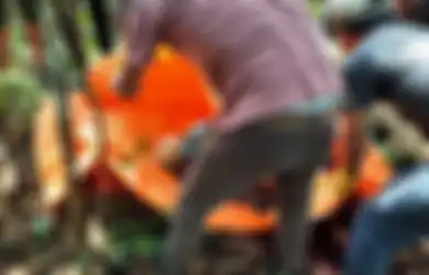 2 Tahun Menghilang Tanpa Jejak, Sosok Ini Ditemukan Tinggal Tengkorak dan Tulang Belulang, Begini Kronologi Penemuannya