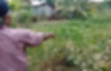 Paranormal Sampai Diturunkan, Perampok Toko Emas di Meulaboh Bikin Geger, Pelaku Hilang Bak Ditelan Bumi Usai Kabur ke Rawa-rawa