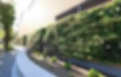 Ada Cara Buat Rumah Adem Tanpa Ac, Simak Desain Dinding Seperti Ini!