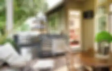Dapur Terbuka Rawan Hewan Pengganggu? Begini Cara Menyiasatinya!