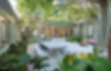 Jangan Asal Menempatkan Pohon Peneduh di Taman, Maksimalkan Fungsinya!