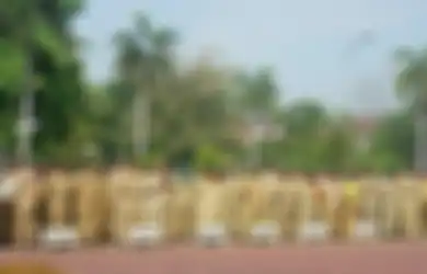 Bisa Bikin Kecewa, Skema Gaji PNS Masih Terus Digodok, BKN Sebut Sejumlah Tunjangan Akan Dihapus, Apa Saja?