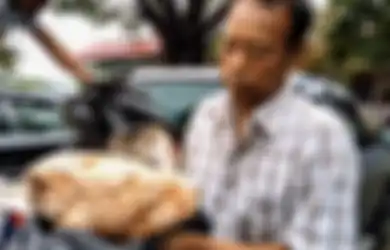 Bak Ketiban Rezeki Nomplok, Seorang Nelayan Mendadak Jadi Jutawan Usai Temukan Muntahan Ikan Paus Sperma di Dekat Rumahnya, Ternyata Harganya Tembus Rp 445 juta per Kilo!
