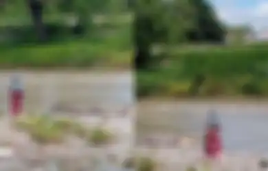 Nyalinya Kelewat Berani, Wanita di Palu Ini Santai Dekat-dekat dengan Buaya Berkalung Ban yang Tak Mampu Ditaklukkan Panji Petualang, Netizen: Menangis Panji Kalau Melihat Video Ini