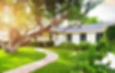 Pelengkap Taman, Inilah 5 Tanaman Peneduh yang Populer Digunakan