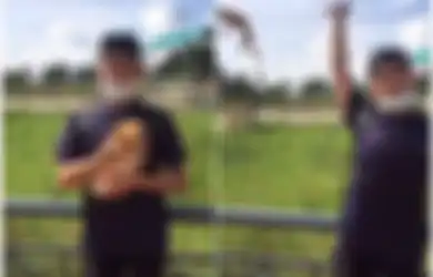 Demi Konten Viral TikTok, Remaja 19 Tahun Ini Nekat Siksa Kucing dengan Melemparnya Tinggi-tinggi hingga Terbanting, Polah Eksisnya Berujung di Tangan Polisi
