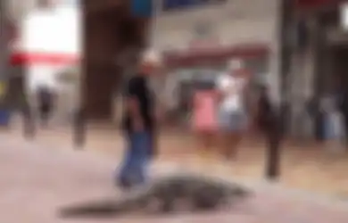 Masih Nekat 'Disayang' Meski Sudah Bahayakan Nyawa Sang Putra, Keluarga Ini 40 Tahun Hidup Bersama Buaya, Sering Diajak Jalan-jalan Bak Anjing Peliharaan